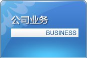 公司业务